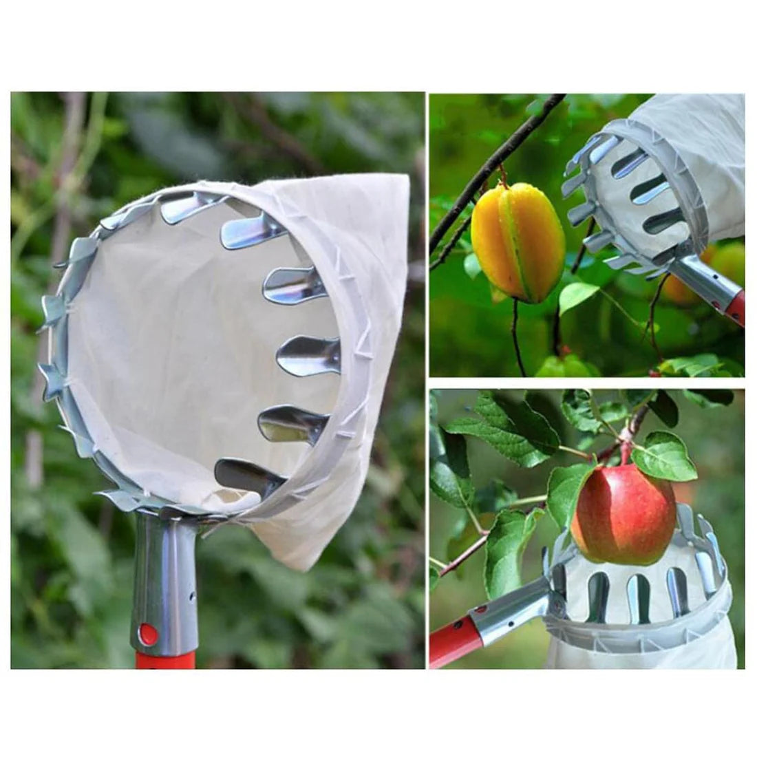 1 Set Fruit Picker Fruit Picking Tool With Storage Bag�